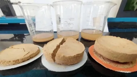 Filter Cloth Selection Tips|Finding the Optimal Balance Between Filtration Precision and Air Permeability Filter Cloth Selection Tips|Finding the Optimal Balance Between Filtration Precision and Air Permeability